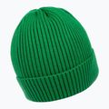 Men's winter beanie Pitbull Beanie Dock green 2