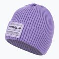 Men's winter beanie Pitbull Beanie Dock lilac