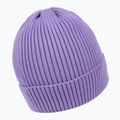 Men's winter beanie Pitbull Beanie Dock lilac 2