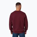 Men's Pitbull Small Logo Crewneck sweatshirt burgundy 3