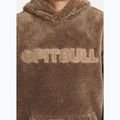 Men's sweatshirt Pitbull Aragon Hooded coyote brown 5