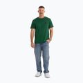 Men's T-shirt Pitbull Small Logo leaf green 2