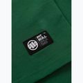 Men's T-shirt Pitbull Small Logo leaf green 9