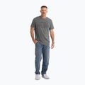 Pitbull Ace Of Spades men's t-shirt grey 2