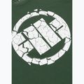 Men's T-shirt Pitbull Scratch green 10
