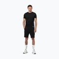 Pitbull Dogwood Sport men's shorts black 2