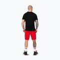 Pitbull Dogwood Sport fluo/red men's shorts 3