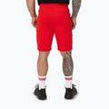 Pitbull Dogwood Sport fluo/red men's shorts 4