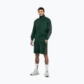 Men's sweatshirt Pitbull Track Jacket Powers bottle green 2