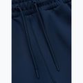 Men's trousers Pitbull Track Pants Powers royal blue 3