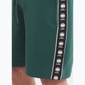 Men's shorts Pitbull Track Shorts Powers bottle green 3