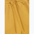Men's shorts Pitbull Track Shorts Powers pale yellow 3