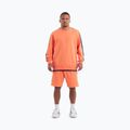 Men's sweatshirt Pitbull Tape Nugget Crewneck Sweatshirt bright salmon 2