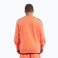 Men's sweatshirt Pitbull Tape Nugget Crewneck Sweatshirt bright salmon 3