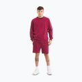 Men's sweatshirt Pitbull Tape Nugget Crewneck Sweatshirt burgundy 2