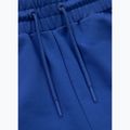 Men's trousers Pitbull Tape Nugget Jogging electric blue 6