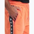 Men's shorts Pitbull Tape Nugget bright salmon 4