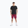 Men's shorts Pitbull Tape Nugget burgundy 2