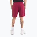 Men's shorts Pitbull Tape Nugget burgundy 3