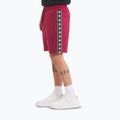 Men's shorts Pitbull Tape Nugget burgundy 4