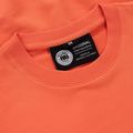 Men's Pitbull Dog Sd Crewneck Sweatshirt bright salmon 3