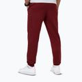 Men's trousers Pitbull Nugget Jogging burgundy 2