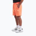 Men's shorts Pitbull Nugget bright salmon 4