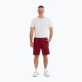 Men's shorts Pitbull Nugget burgundy 2