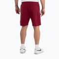 Men's shorts Pitbull Nugget burgundy 3