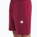 Men's shorts Pitbull Nugget burgundy 4