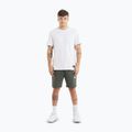 Men's shorts Pitbull Nugget old green 2