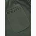 Men's trousers Pitbull Lancaster 2 Track Pants sage green 9