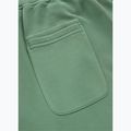 Men's trousers Pitbull Lancaster 2 Track Pants washed green 8