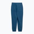 Men's trousers Pitbull Lancaster 2 Track Pants shade blue 8