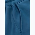 Men's trousers Pitbull Lancaster 2 Track Pants shade blue 11