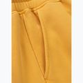 Men's trousers Pitbull Lancaster 2 Track Pants washed yellow 10