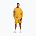 Men's shorts Pitbull Lancaster 2 washed yellow 2