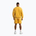 Men's shorts Pitbull Lancaster 2 washed yellow 4
