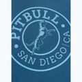 Sweatshirt Pitbull Vintage Boxing Hooded Sweatshirt shade blue 5