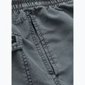 Men's Pitbull Balfour field grey swim shorts 7
