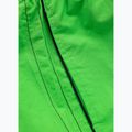 Men's Pitbull Crownhill fluo green swim shorts 6