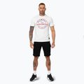 Pitbull San Diego men's t-shirt Ins. white/blue 2