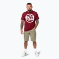 Men's Pitbull Logo Palms t-shirt burgundy 2