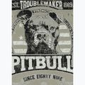 Pitbull Troublemarker dusty salvia men's t-shirt 5