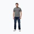 Pitbull Ace Of Spades men's t-shirt muted green 2
