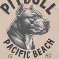Pitbull men's pacific ultra light sand t-shirt 8
