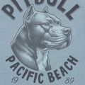 Pitbull men's pacific blue t-shirt 5