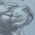 Pitbull men's pacific blue t-shirt 6