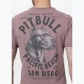 Pitbull men's pacific dusty burgundy t-shirt 3