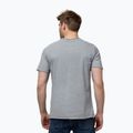 Pitbull men's Open Beach t-shirt grey 3